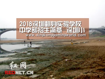 星空真人，星空赛事，星空百家乐，星空娱乐